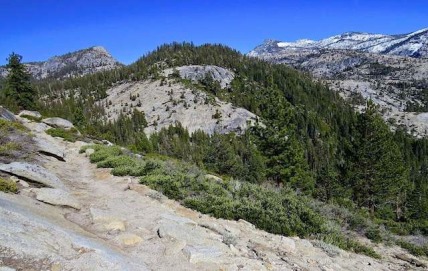 Yosemite at 8,000 feet